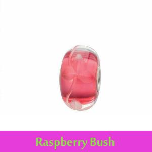 Raspberry Bush